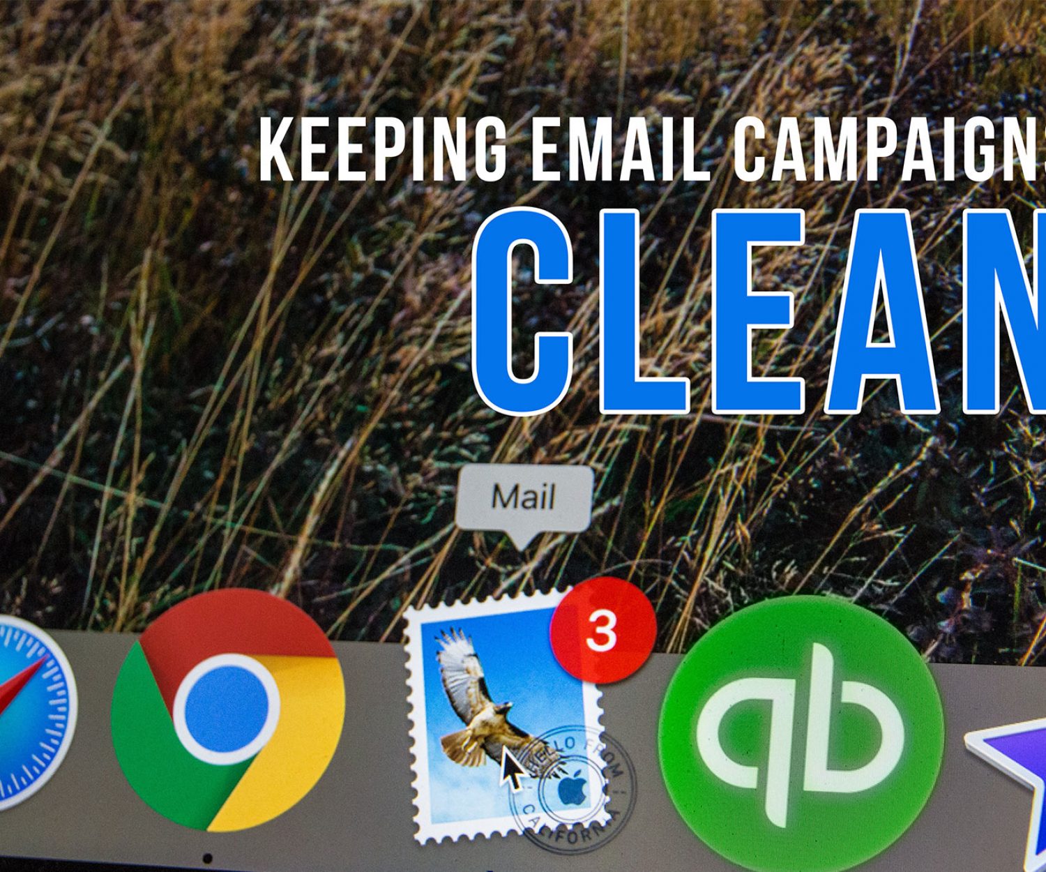 keeping email campaigns clean