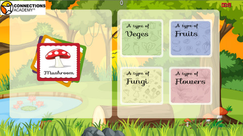 EDUCATIONAL THEME - CLICK IMAGE TO DEMO FULL SCREEN